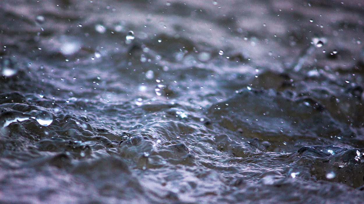 Rainfall Article