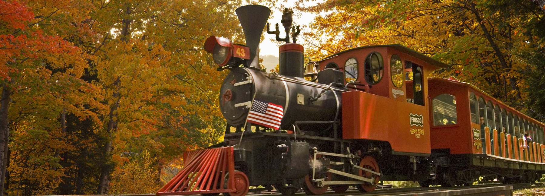 Blog SDC Fall Train
