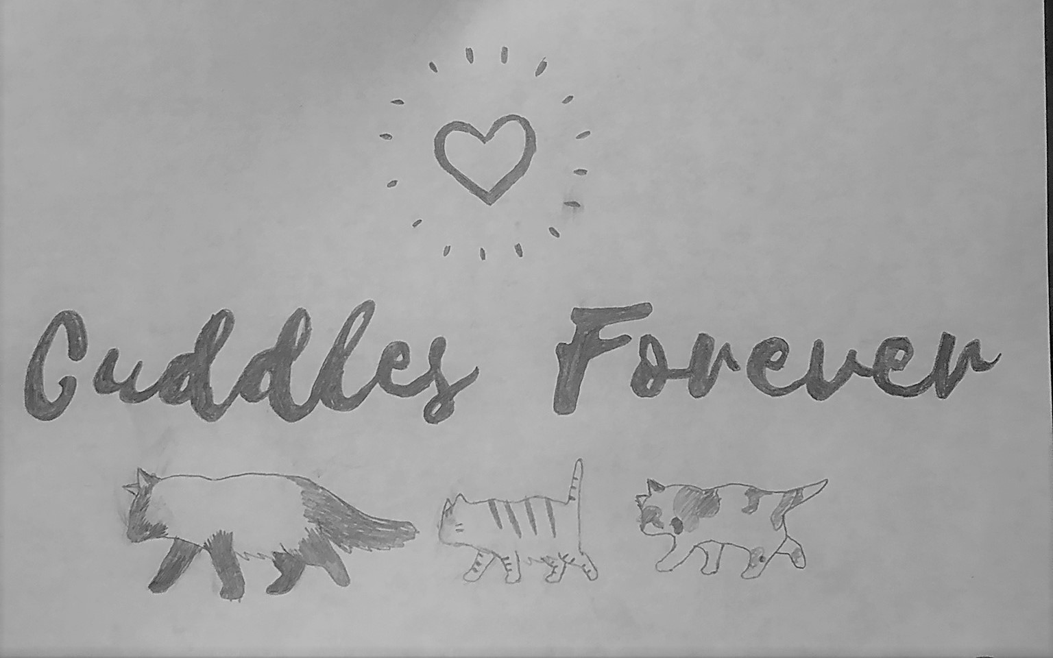 Cuddles Forever