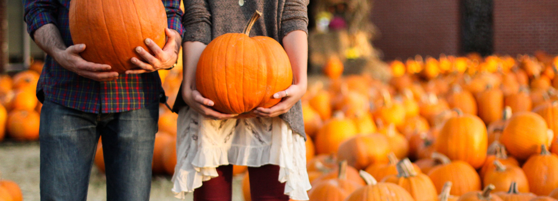 holding pumpkins at pumpkin patch
